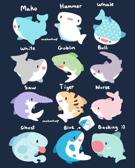 Adorable Shark Cartoons Cute Animals Animal Drawings Cute Art