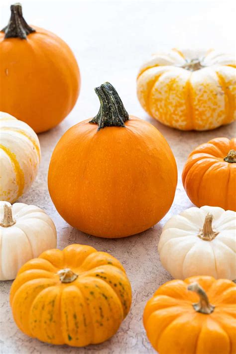 5 Health Benefits Of Pumpkin Jessica Gavin