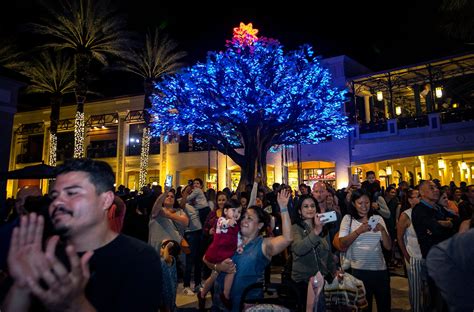 Best Christmas events, lights in Palm Beach County, West Palm, Boca