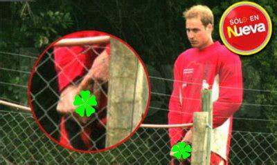 Prince William Peeing Penis Photos Online Pictures Huffpost