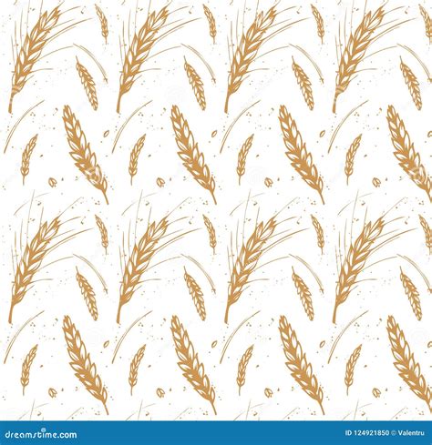 Rye Barley And Wheat Seamless Pattern Stock Vector Illustration Of