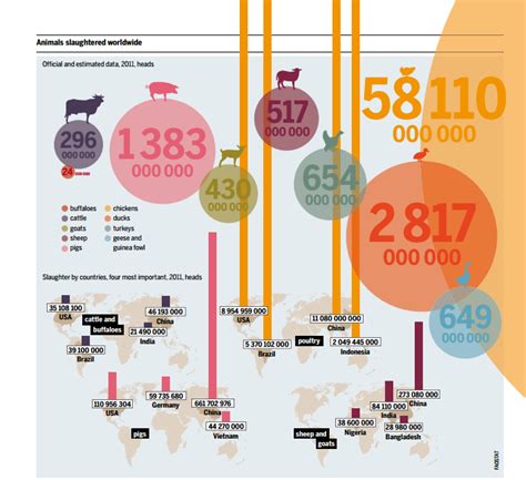 Over Consumption Of Meat And Dairy Is Wrecking The Planet Agricultural