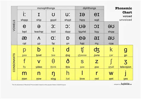 Ipa International Phonetic Alphabet Chart Imagesee