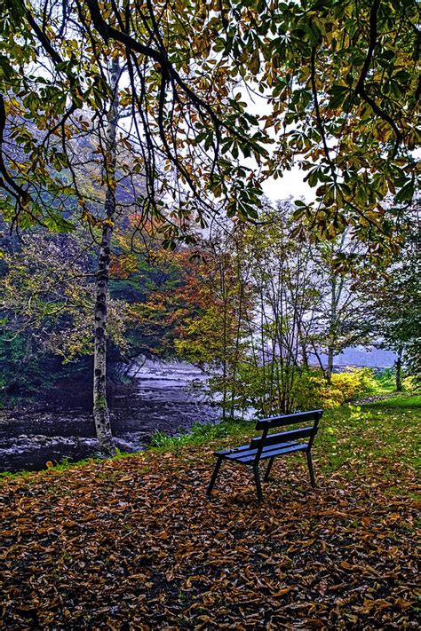 Fall In Ireland Photograph By Kevin Woodbury Fine Art America