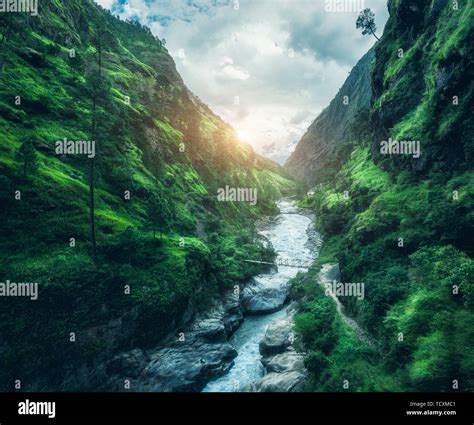Green Covered Grass Hi Res Stock Photography And Images Alamy