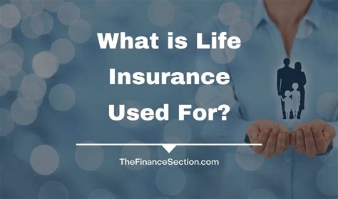 What is 100 Thousand Dollar Life Insurance?