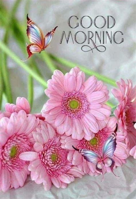 Special Good Morning Wishes And Greetings
