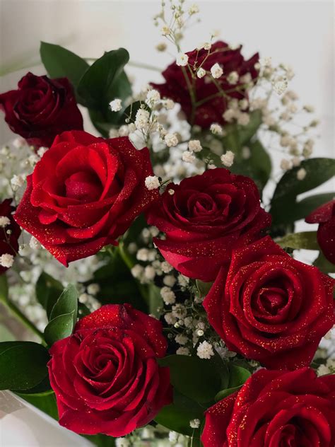 Top 999 Red Roses Wallpaper Full Hd 4k Free To Use