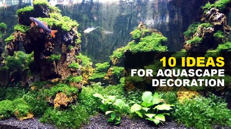 10 Ideas For Aquascape Design And Decoration YouTube