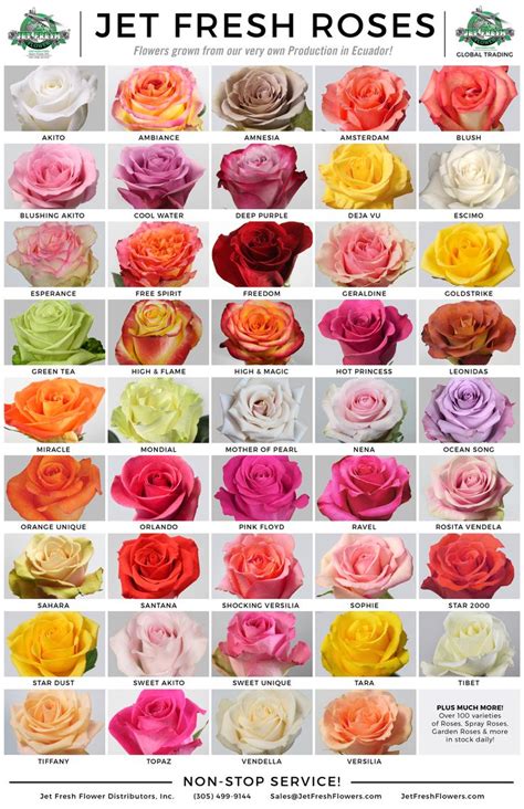 The Different Colors Of Roses Are Shown In This Poster Which Shows How