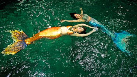 Halifax Mermaid Company Making A Splash Across Maritime Provinces Ctv