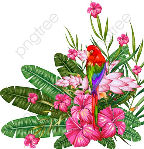 Tropical plant material PNG Clipart | Tropical art, Flowery wallpaper, Tropical illustration