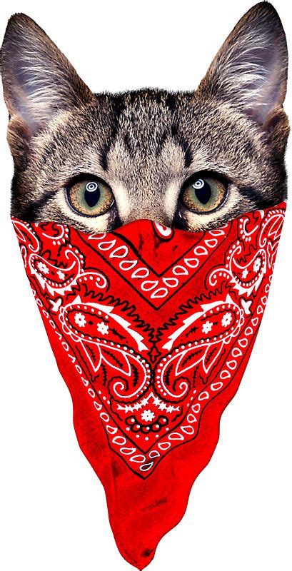 Gangster Cat Sticker By Clingcling In 2021 Cat Stickers Cat Art