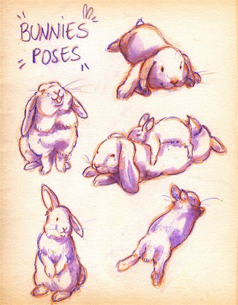 Bunny References Poses Cute Fluffy Art Shop Book Art Art