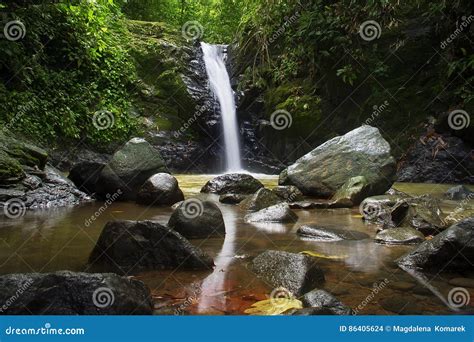 Secluded Waterfall In A Jungle Costa Rica Stock Photo Image Of