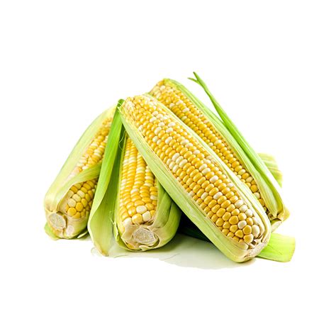 Corn Maize Png Transparent Images Png All