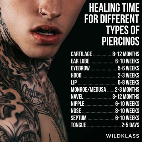 Healing Time For Different Types Of Piercings New Products In Different Types Of