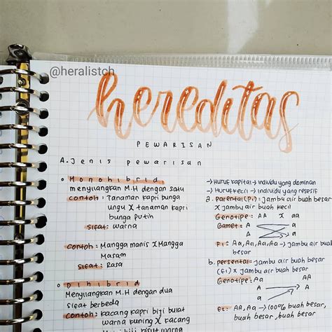 Contoh Barisan Geometri Dan Deret Geometri - Rumus Matematika