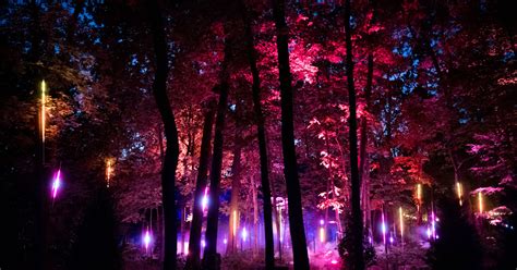 North Forest Lights Returns To Crystal Bridges For A Third And Final