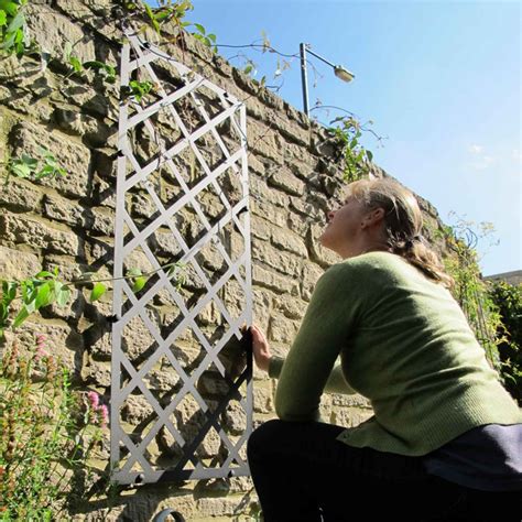 Kevin and i are really happy with the way these turned out. Harrod Superior Lattice Wall Trellis Panel - Harrod Horticultural