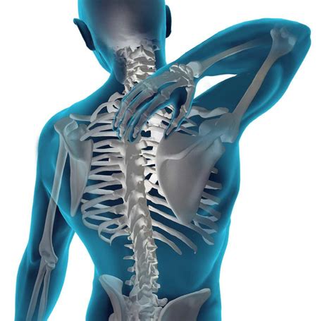 Special Chiropractic Treatments For Spinal Health — Health And Wellness