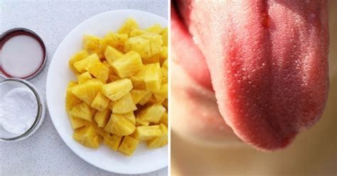 The Surefire Way To Stop Pineapples From Burning Your Tongue