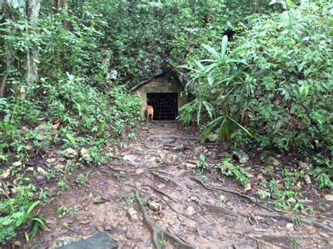 Cave Entrance Is Hidden In The Jungle Picture Of Belize Nature Travel
