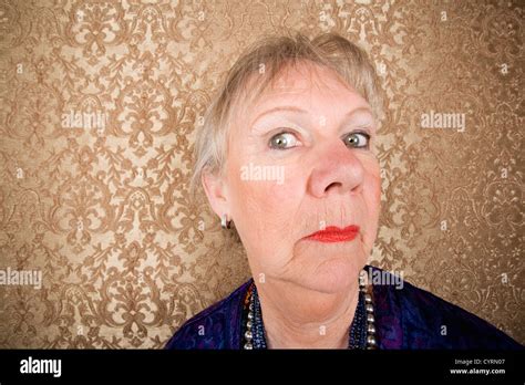 Snooty Woman Hi Res Stock Photography And Images Alamy