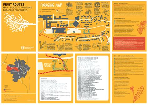 Result of fruit tree mapping in the cadaster of our village. Fruit Routes Maps - Jo Salter