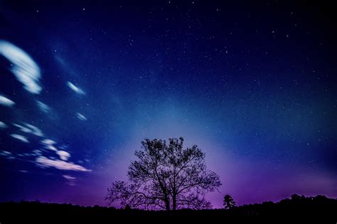 Tree Galaxy Sky 8k Hd Nature 4k Wallpapers Images Backgrounds