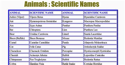 The dog name is sure to be used frequently in public, so you might think twice about calling. VEENA V NAIR: Animals : Scientific Names
