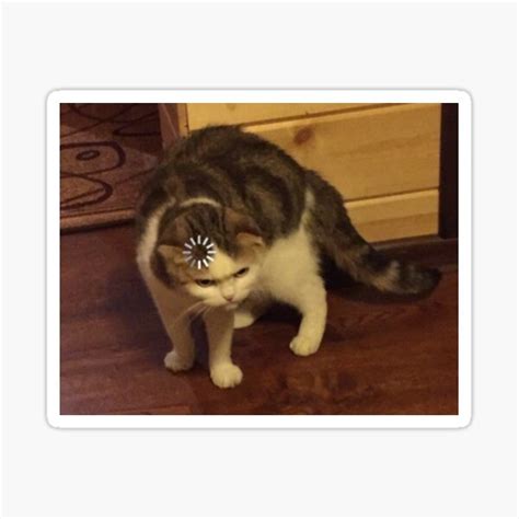 Loading Buffering Cat Meme Sticker For Sale By Jamdonut1 Redbubble