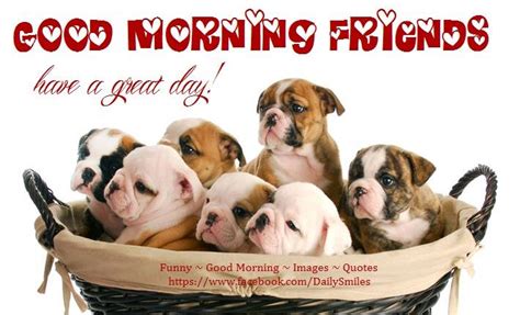 Good Morning Wishes With Dogs Pictures Images