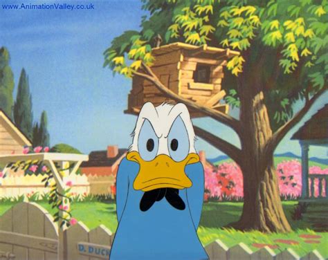 If you are looking to buy or sell celsius network, ftx is currently the most active exchange. Donald Duck Production Cel - Animation Cels Photo (28066137) - Fanpop