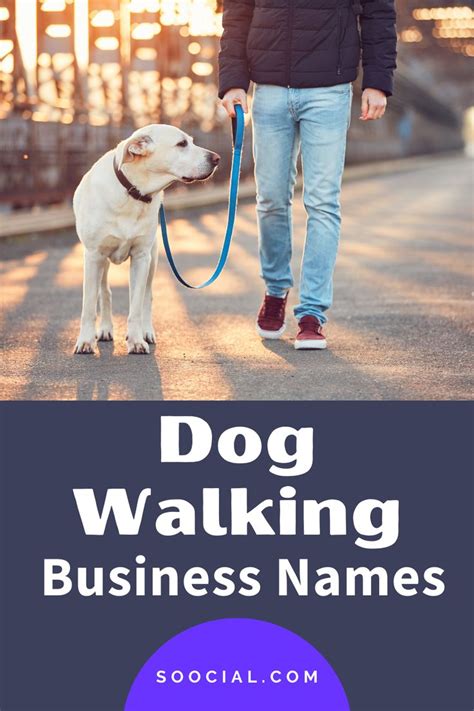 425 Pawsome Dog Walking Business Name Ideas Dog Walking Business Dog