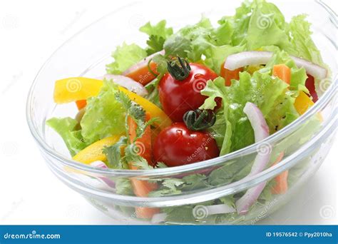 Fresh Vegetable Salad Stock Photo Image Of Salad Health 19576542