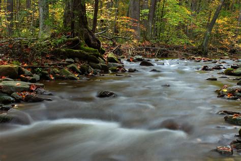 Free Picture Water River Leaf Stream Wood Nature Creek Landscape