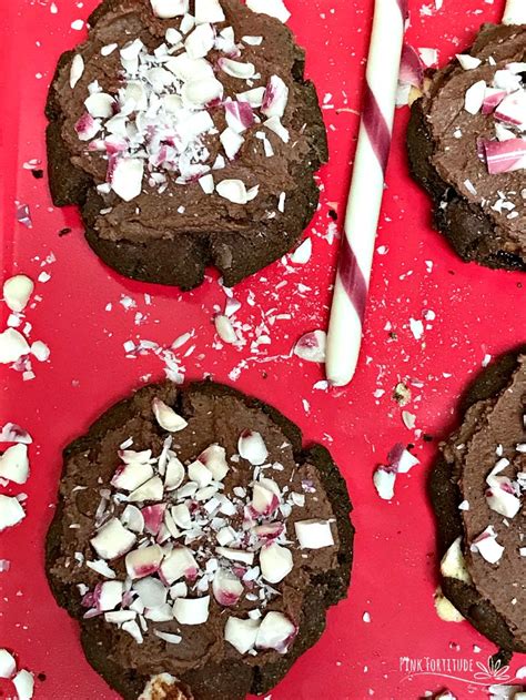 Peppermint Hot Chocolate Cookies Gluten Free And Vegan Pink