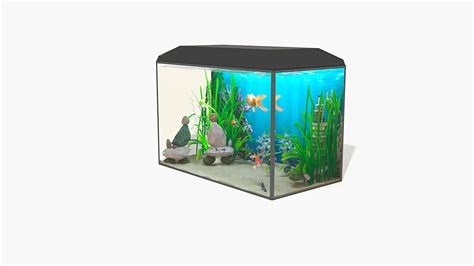 3d Aquarium Turbosquid 1688501