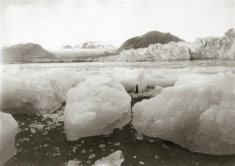 Alaska Muir Glacier C1899 Photograph By Granger Pixels