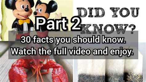 Did You Know Part 2 30 Fun Facts You Should Know Youtube