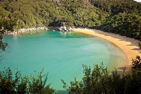 The Best 3 Beaches In The Abel Tasman National Park New Zealand