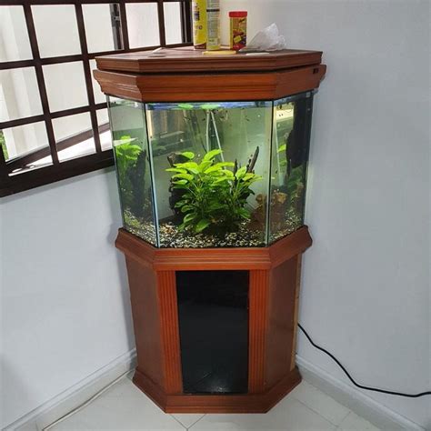 Hexagon Fish Tank With Stand Fish Tank Facts