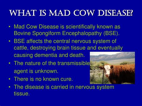What Is Mad Cow Disease Caused By Bovine Spongiform Encephalopathy