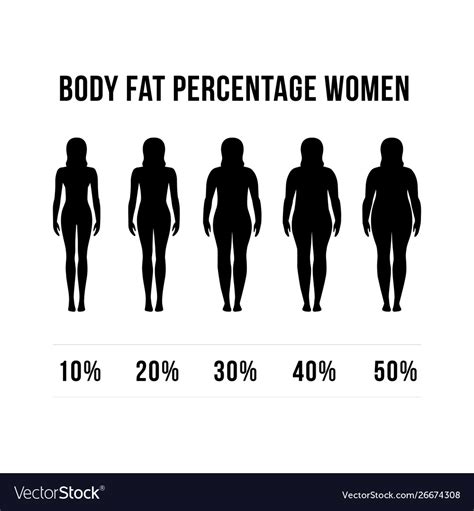 Body Fat Percentage Woman Designs Concept Woman Vector Image