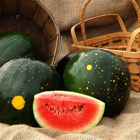 Organic Seeds Moon And Stars Watermelon Sage Garden