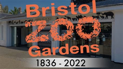 Bristol Zoo Gardens A Final Look Youtube