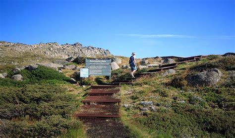 Kosciuszko Walk Thredbo To Mount Kosciuszko Nsw National Parks