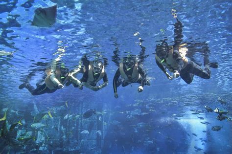 Sanya Atlantis The Lost Chambers Aquarium Package Hainan China Travel