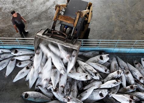 The Problem Of Overfishing
